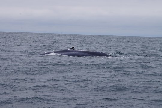 Tour image 8