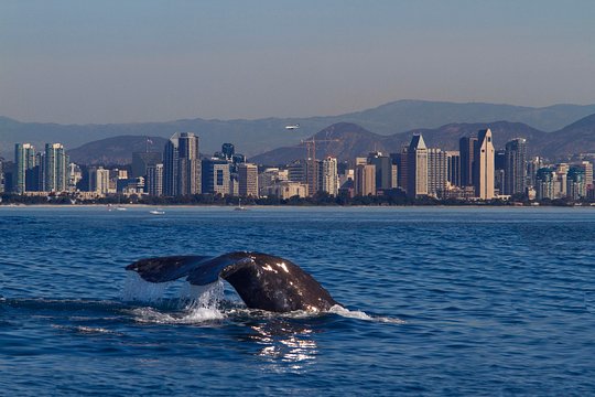 Tour image 9