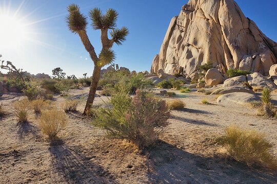 Tour image 1